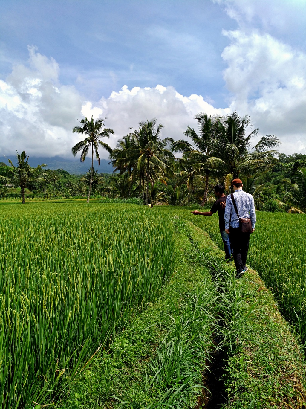 excursion-rice-paddy-3